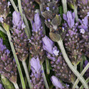 Lavendel - Puur Castile Zeepblok €7.49